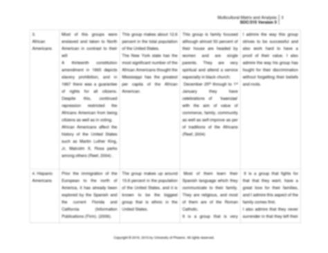 Solution Multicultural Matrix And Analysis Worksheet Studypool