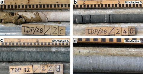 Core Photographs Of TDP Sites 28 32 And 35 Santonianupper