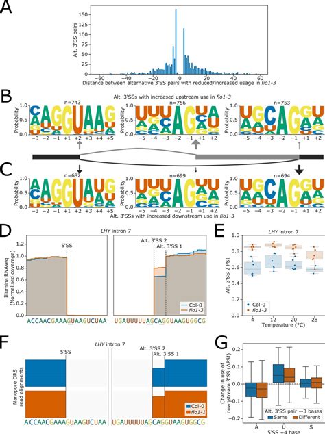 Figures and data in m6A modification of U6 snRNA modulates usage of two ... 