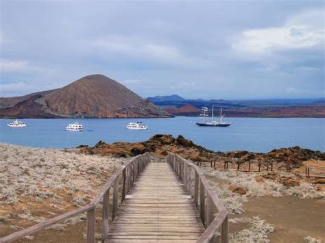 Bartolome Island: A Must-See Destination in the Galapagos – natourgalapagos.com