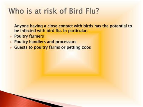 Ppt Bird Flu Powerpoint Presentation Free Download Id 7929292