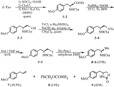 Tyrosine Synthesis