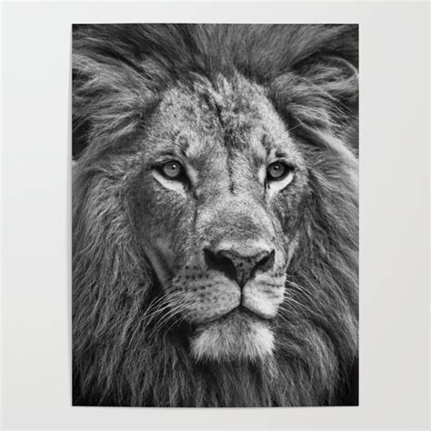 The Lion Portrait (Black and White) Poster by NoColorDesigns | Society6