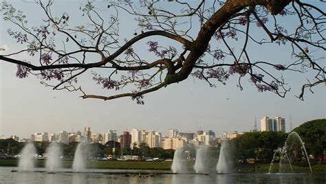 Ibirapuera é Apontado Como Um Dos Dez Melhores Parques Urbanos Do Mundo