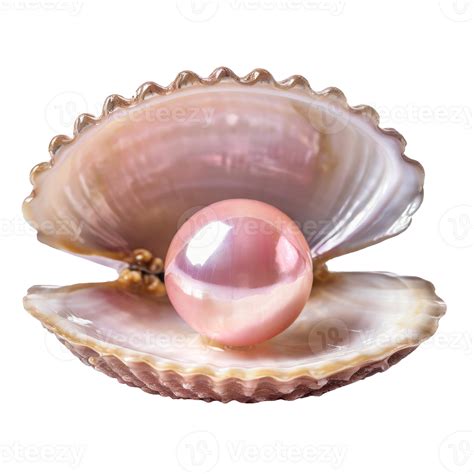 Ai Generated Pink Pearl Nestled Within An Open Clam Shell On A