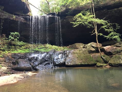 Muscle Shoals National Heritage Area » William B. Bankhead National Forest