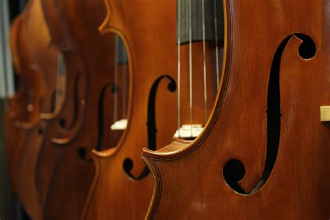 The Difference Between The Violin And The Viola Lessons In Your Home