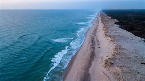 Les mares arrières dunaires de la pointe de Grave Sur inscription