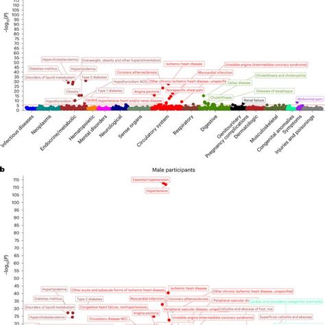 Sex Stratified Phenome Wide Association Study Of Preeclampsiaeclampsia