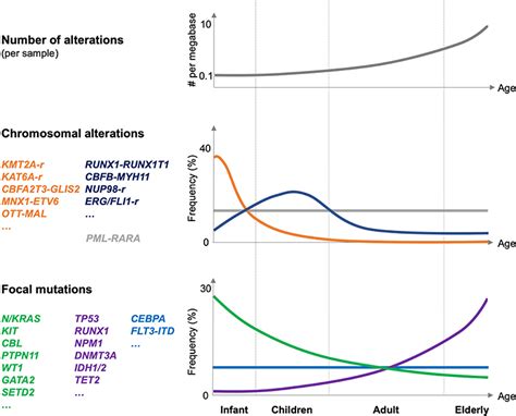 Frontiers Pediatric Acute Myeloid Leukemia Aml From Genes To