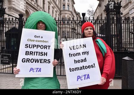 Demonstrators From Peta Protest Naked In Front Of St Pauls Cathedral Against The Use Of Bear