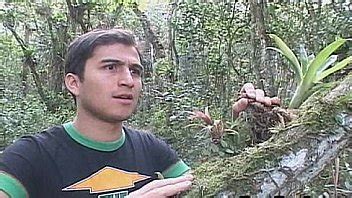 Nice Latino Papi Outdoor Anal Sex Xnxx