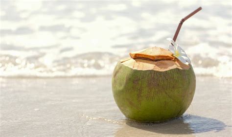 Culinary Waves: The Best Eateries for Surfers in San Diego - Surfer