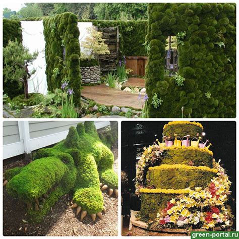 Мох в ландшафтном дизайне - Ландшафтный дизайн своими руками
