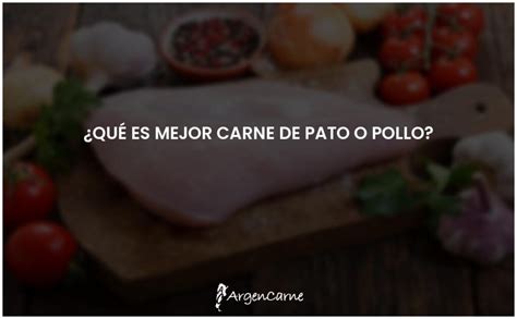 Comparativa Carne De Pato Vs Pollo Cu L Es La Mejor Opci N Argencarne