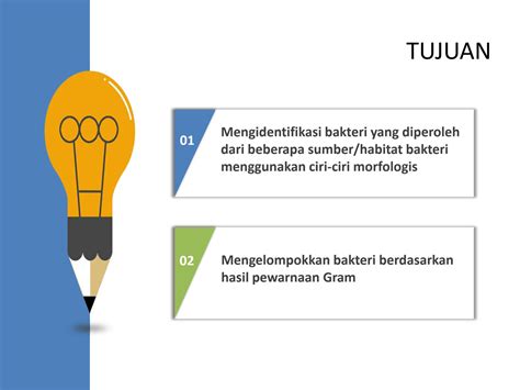 SOLUTION: Bacteria identification gram staining - Studypool 