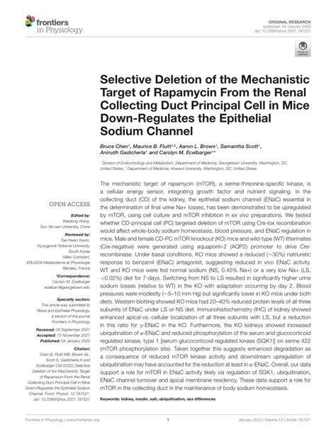 Pdf Selective Deletion Of The Mechanistic Target Of Rapamycin From