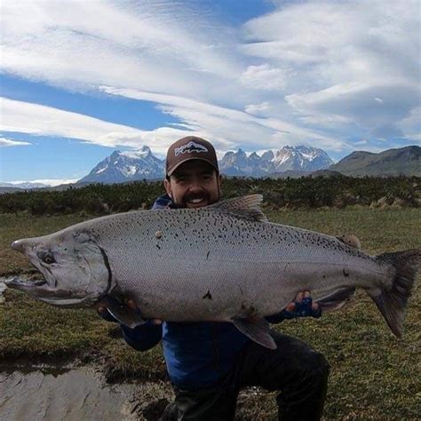 Riverline fly fishing patagonia, torres del paine. - Fly fishing ...