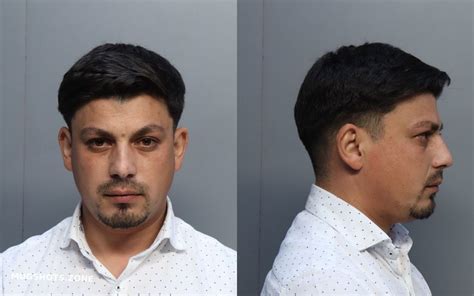 Miclescu Constantin Miami Dade County Mugshots Zone