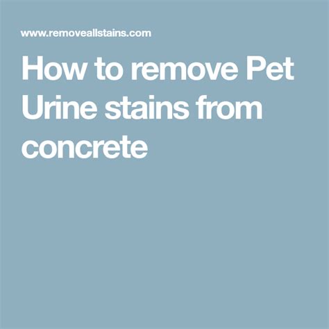 How To Remove Pet Urine Stains From Concrete Urine Stains Pet Urine