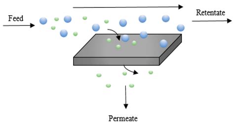 Membranes Free Full Text Recent Advances In Membrane Based