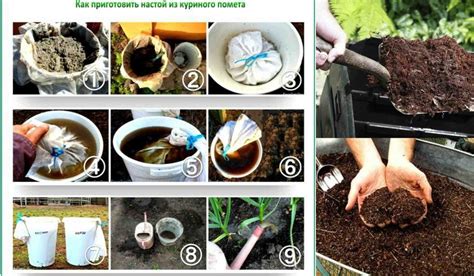 Удобрение для картофеля: какое лучше при посадке использовать