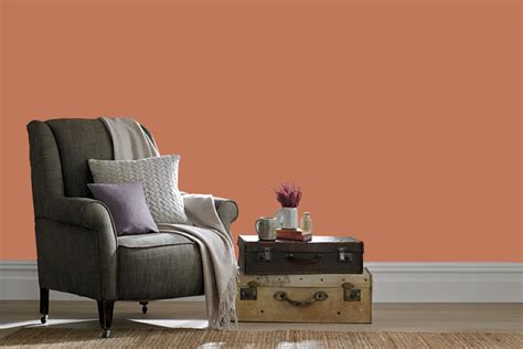 Sherwin Williams Decorous Amber