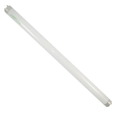 F15T8 CW Bulbs