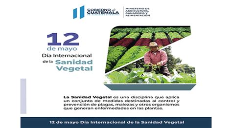 Día Internacional de la Sanidad Vegetal Viceministerio de Sanidad