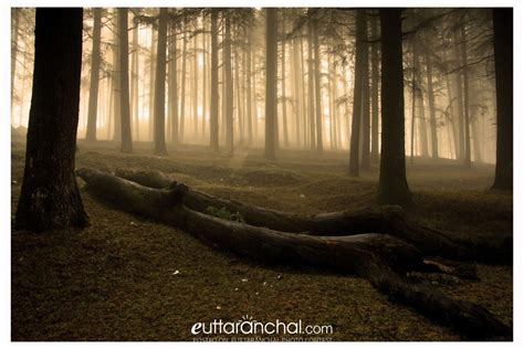 Mystic falls! - Uttarakhand Photos