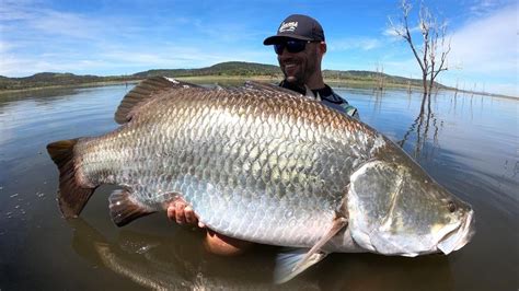 Amazing Pics The Biggest Barra Hooked At Lake Callide Observer