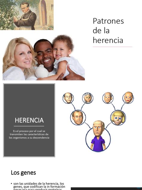 Patrones De La Herencia Pdf Cigosidad Dominancia Genética