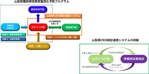 山梨県におけるckd対策 山梨大学腎臓内科