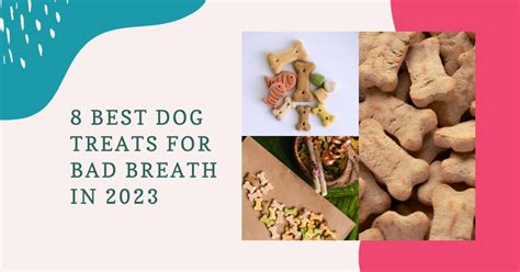 8 Best Dog Treats for Bad Breath in 2023 - Groomers' Land