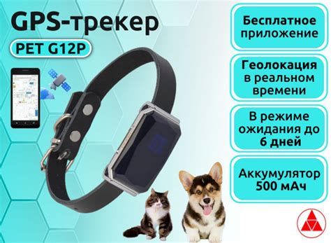 GPS трекер с ошейником PET G12P для собак и кошек/ Акб 500 mAh (6 дней ...