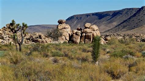 High Desert Near Yucca Valley