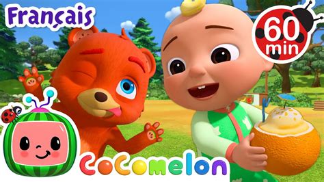 Coucou toi Chansons pour Bébés CoComelon Le coin des Animaux de JJ