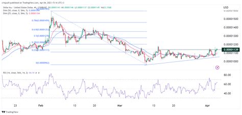 Shiba Inu price prediction as Dogecoin goes vertical