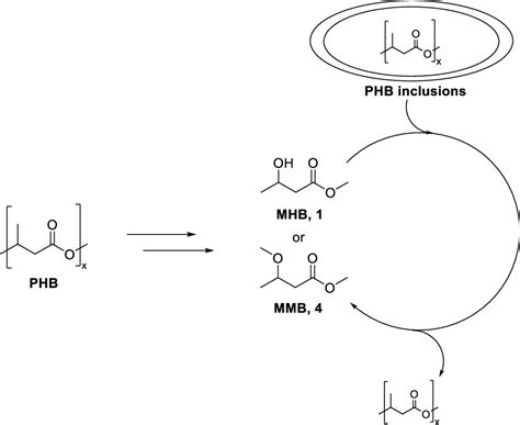 Chemical Recycling Of Polyhydroxybutyrate PHB Into Bio Based Solvents