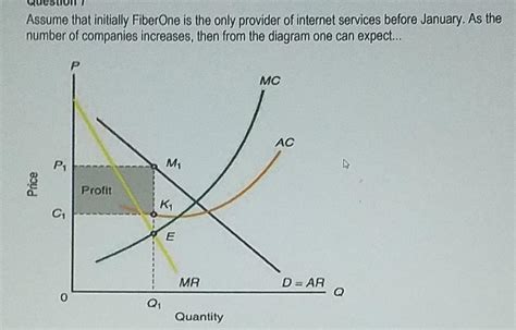 Solved Assume That Initially Fiberone Is The Only Provider Chegg