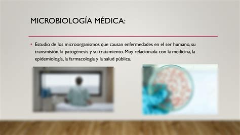 Solution Clases Teoricas Microbiologia Bacterias Y Generalidades