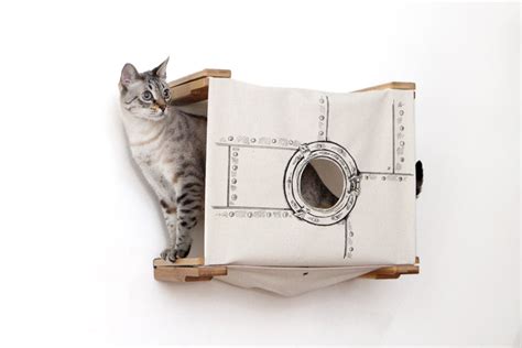 Cat Wall Cubby Enclosed Cat Bed Catastrophic Creations