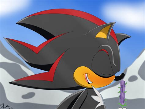 Shadow the Hedgehog Admiring Lavender (Sonic X Redraw) : r/SonicTheHedgehog