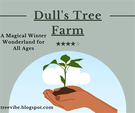 Dulls Tree Farm A Magical Winter Wonderland For All Ages By