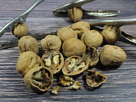 Nut Fruit Dried Fiber Natural Fiber Walnut Shell Health Good Seed Stock