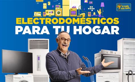 5 Electrodomésticos Que Debés De Tener En Tu Hogar