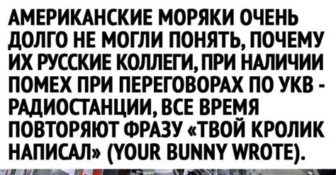 Your bunny wrote | Пикабу