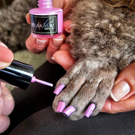 Dog Nails Paw Nails Dog Nail Art