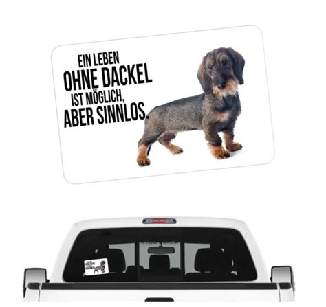 Rauhaardackel Dackel Hundeaufkleber Sinnlos Spruch Autoaufkleber Eur