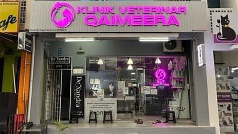 Klinik Vet 24 Jam Di KL Selangor Vektor Kecemasan